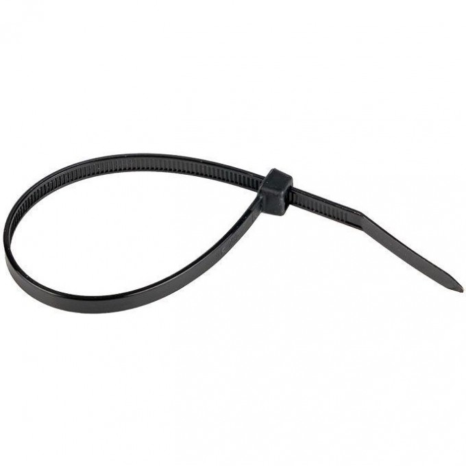 Хомут кабельный EKF 4.8х200 нейл. черн. (уп.100шт) plc-cb-4.8x200 Хомут кабельный EKF 4.8х200 нейл. черн. (уп.100шт) plc-cb-4.8x200