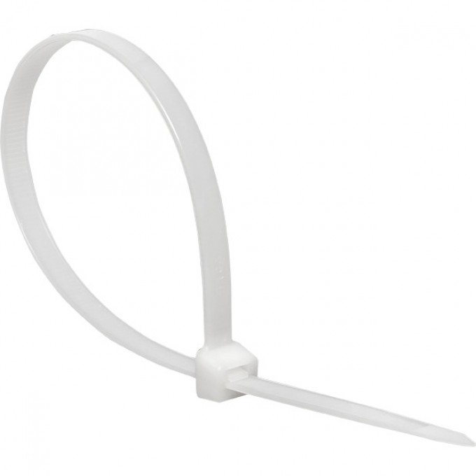 Хомут нейлоновый EKF BASIC (2,5х100) 100шт. plc-c-2.5x100 Хомут нейлоновый EKF BASIC (2,5х100) 100шт. plc-c-2.5x100